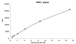 Eurofins DiscoverX HPK1 Protein, Active 10 &mu;g | Buy Online | Eurofins DiscoverX | Fisher Scientific